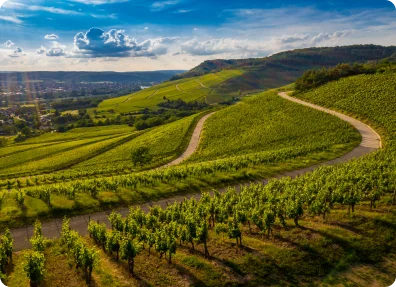 Diferencial Sitio da Terra e Arte